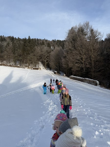 Učenci na snežni čistini