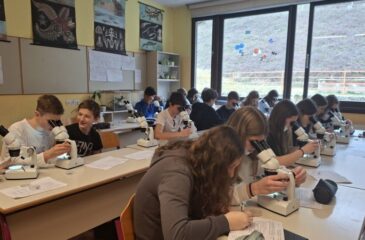 Učenci gledajo skozi mikroskop.