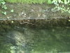 3r_Izlet_Idrija_202566