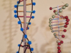 9r_Modeli-DNA_202519