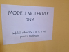 9r_Modeli-DNA_202522