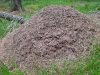 9r_Rogla_202507