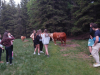 9r_Rogla_202511