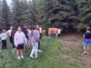 9r_Rogla_202514