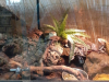 Eks_8r_Stajerska_202511