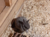 Eks_8r_Stajerska_202515