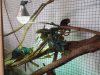Eks_8r_Stajerska_202516