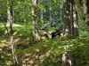 KD_1r_Kekceva-dezela_202603
