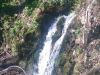 korona_6april_202025