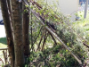 korona_kd_8_9r_202042