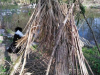korona_kd_8_9r_202048