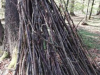 korona_kd_8_9r_202050