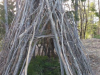 korona_kd_8_9r_202056