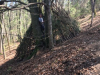 korona_kd_8_9r_202057