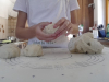 korona_nd_vsi_202014
