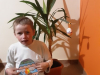 korona_nd_vsi_9april_2020_10