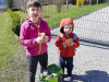 korona_razno_2b__202049