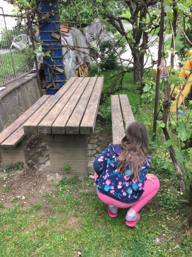 korona_sd_ori_1_202026