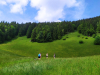 MEPI_24-25_202509
