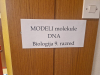 Modeli-DNA_202332