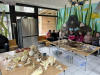 ND_7r_ZOO_202527
