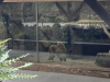 ND_7r_ZOO_202532