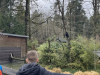 ND_7r_ZOO_202534