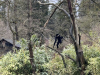 ND_7r_ZOO_202537
