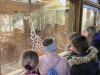 ND_7r_ZOO_202542