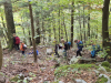 Planinci_Lubnik_202518
