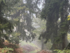 Planinci_Lubnik_202528