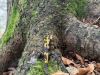 Planinci_Lubnik_202529