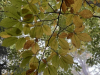 Planinci_Lubnik_202536