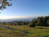 Planinci_Tolsti-vrh_Kriska-gora_202502
