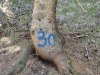 Planinci_Tromeja_202611