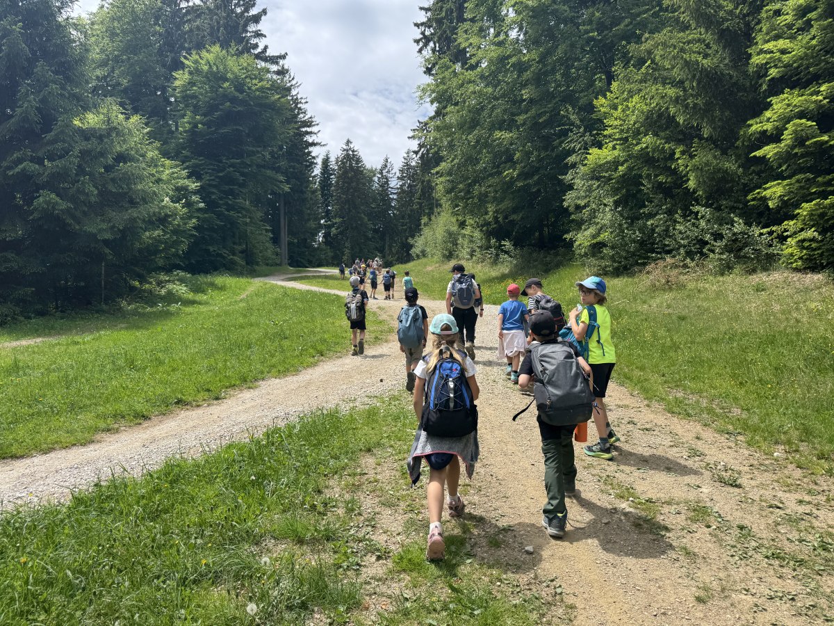 Planinci_Zakljucni-pohod_Pohorje-Maribor_202648