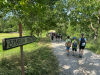 Planinci_Zakljucni_Kraski-rob_2_202550