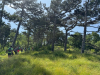Planinci_Zakljucni_Kraski-rob_2_202557