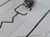 ROBObum-Junior-drzavno_202608