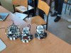 ROBObum_202603