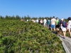 Rogla_dan2_202505