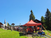 Rogla_dan3_202501