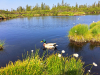 Rogla_dan3_202502