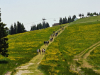 Rogla_dan3_202506