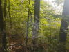 SD_1r_Jesenski-pohod_202510