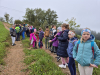 SD_3r_Kostanjev-pohod_202504