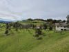 SD_3r_Kostanjev-pohod_202513