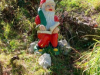 SD_8-9r_Pohod-kolesarjenje_202501
