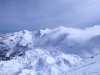 SD_8-9r_Vogel_202501