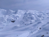 SD_8-9r_Vogel_202503